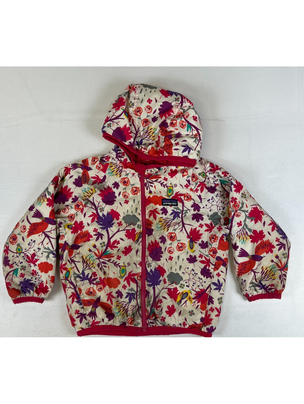 Patagonia Kids 3T 4T Winter Jacket Snow Pants Set Floral Bird Print